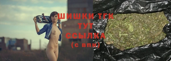 эйфоретик Богородицк