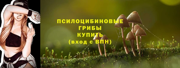 эйфоретик Богородицк