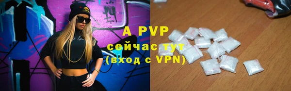 гашик Богданович