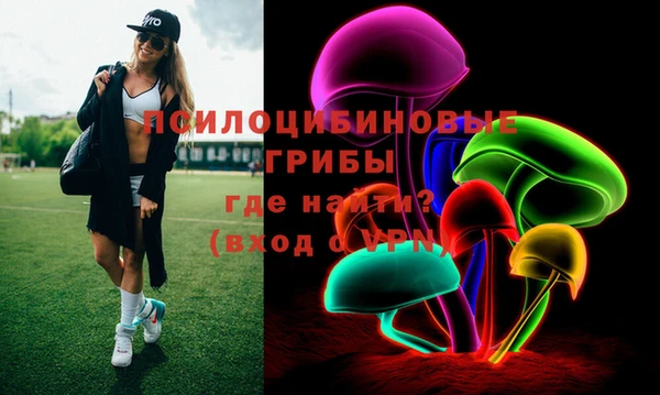 эйфоретик Богородицк