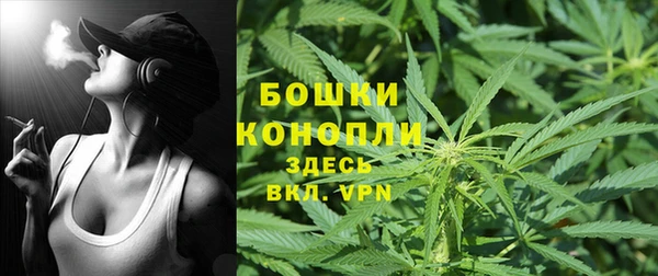 гидропоника Богородск