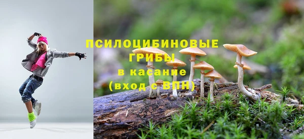 эйфоретик Богородицк