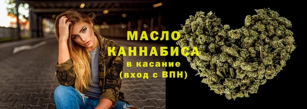 гашик Богданович