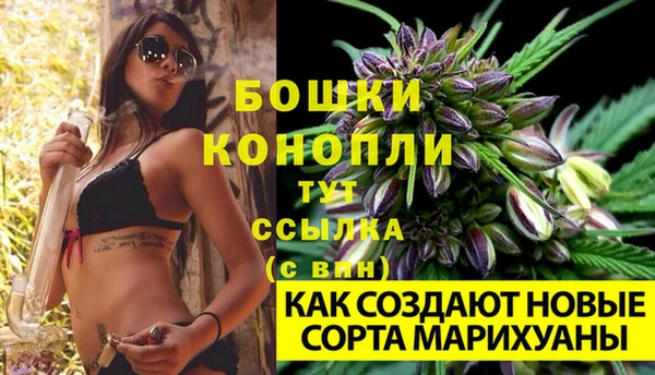 гашик Богданович